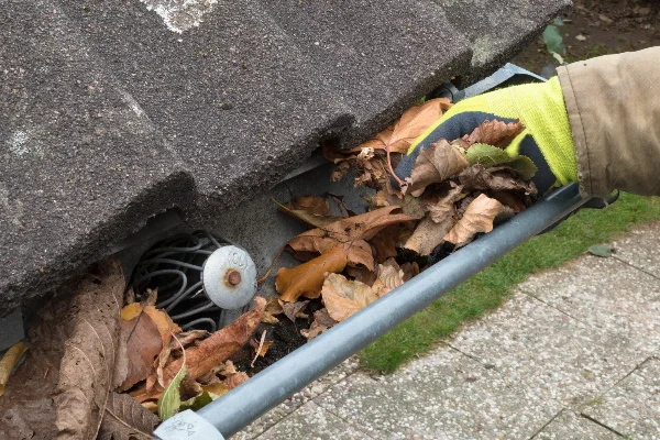 Gutter Cleaning Service