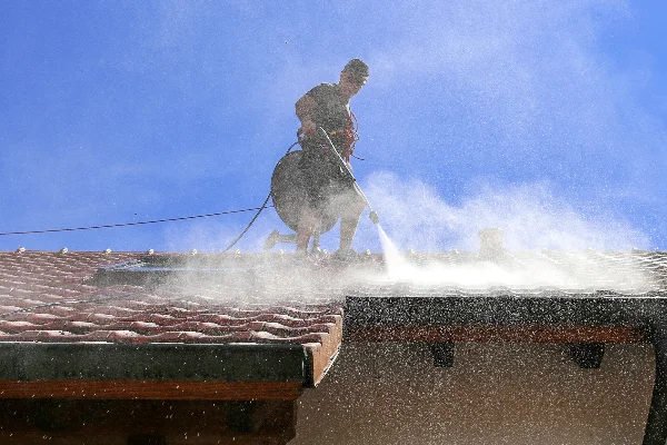 Professional roof cleaner