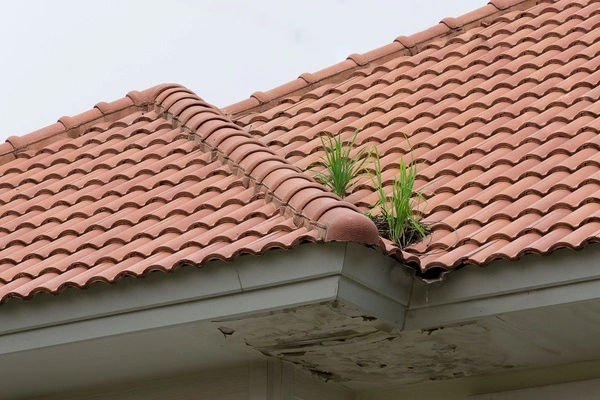 Professional Roofing Company in Hayward, CA