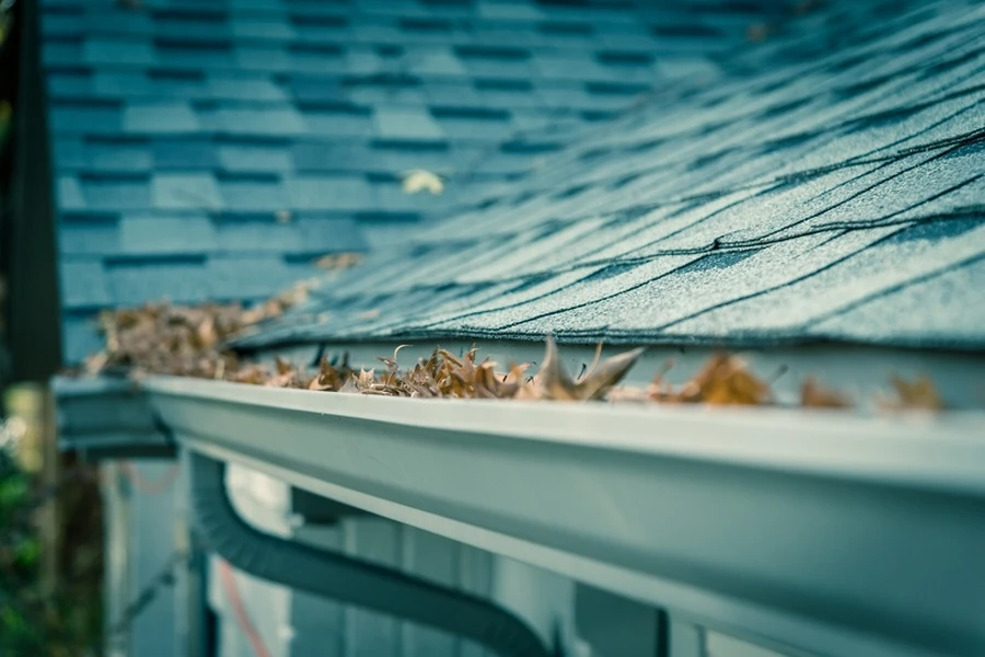The Importance Of Gutter Cleaning For Roof Longevity in Hayward, CA The Importance Of Gutter Cleaning For Roof Longevity in Hayward, CA